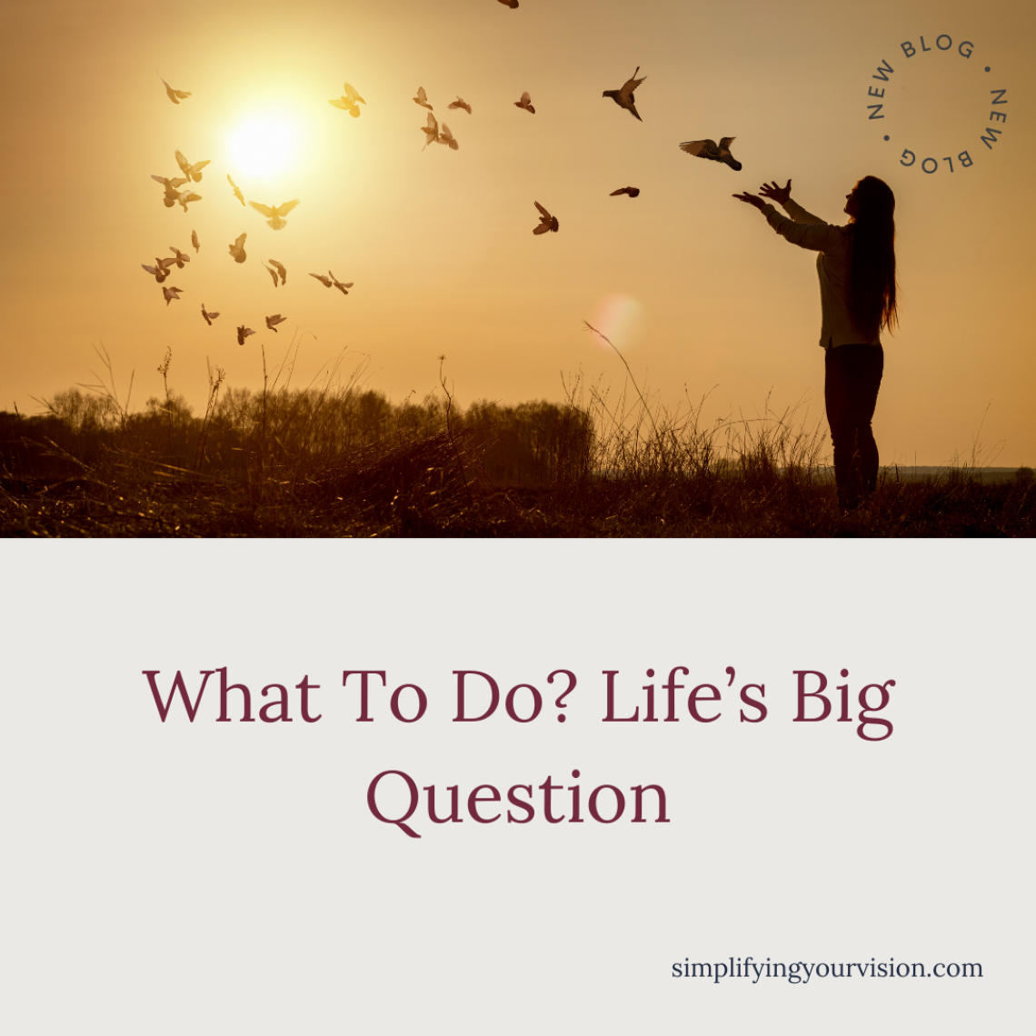 What To Do? Life’s Big Question